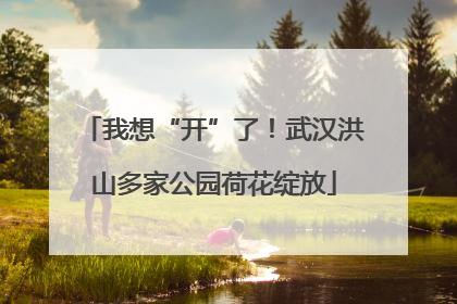 我想“开”了！武汉洪山多家公园荷花绽放