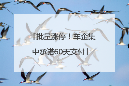 批量涨停！车企集中承诺60天支付