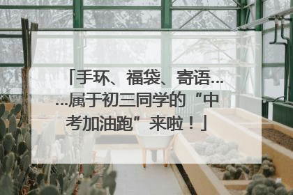 手环、福袋、寄语……属于初三同学的“中考加油跑”来啦！