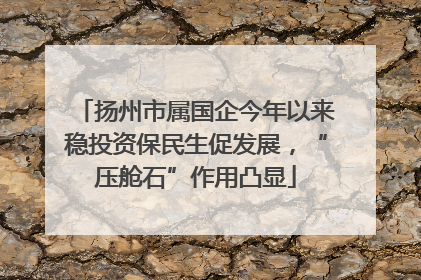 扬州市属国企今年以来稳投资保民生促发展，“压舱石”作用凸显