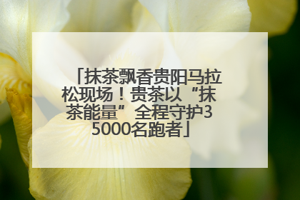 抹茶飘香贵阳马拉松现场！贵茶以“抹茶能量”全程守护35000名跑者