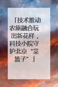 技术推动农旅融合玩出新花样，科技小院守护北京“菜篮子”