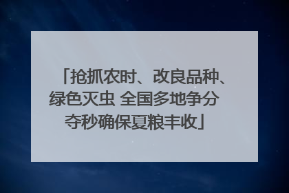 抢抓农时、改良品种、绿色灭虫 全国多地争分夺秒确保夏粮丰收
