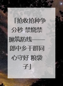 抢收抢种争分秒 禁烧禁抛筑防线——郎中乡干群同心守好 粮袋子