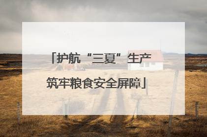 护航“三夏”生产 筑牢粮食安全屏障