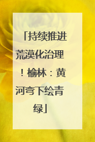 持续推进荒漠化治理！榆林：黄河弯下绘青绿