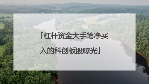 杠杆资金大手笔净买入的科创板股曝光