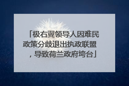 极右翼领导人因难民政策分歧退出执政联盟，导致荷兰政府垮台