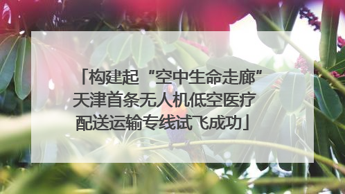 构建起“空中生命走廊” 天津首条无人机低空医疗配送运输专线试飞成功