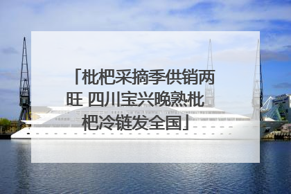 枇杷采摘季供销两旺 四川宝兴晚熟枇杷冷链发全国