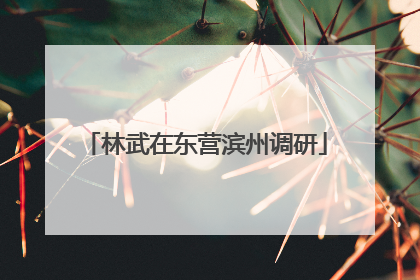 林武在东营滨州调研