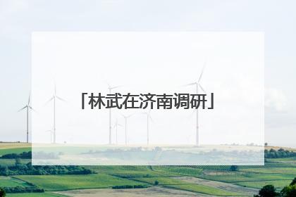 林武在济南调研