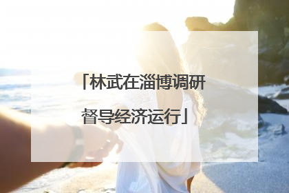 林武在淄博调研督导经济运行