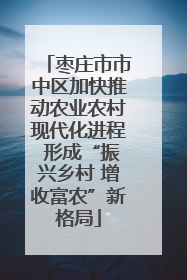 枣庄市市中区加快推动农业农村现代化进程 形成“振兴乡村 增收富农”新格局