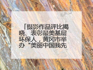 摄影作品评比揭晓、表彰最美基层环保人，黄冈市举办“美丽中国我先行”六五环境日主题宣传活动