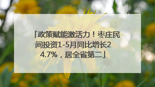 政策赋能激活力！枣庄民间投资1-5月同比增长24.7%，居全省第二