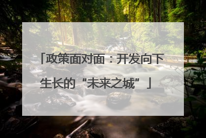政策面对面：开发向下生长的“未来之城”