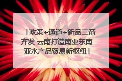 政策+通道+新品三箭齐发 云南打造南亚东南亚水产品贸易新枢纽