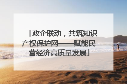 政企联动，共筑知识产权保护网——赋能民营经济高质量发展