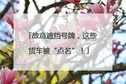 故意遮挡号牌，这些货车被“点名”！