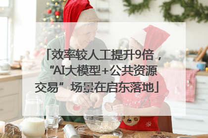 效率较人工提升9倍，“AI大模型+公共资源交易”场景在启东落地