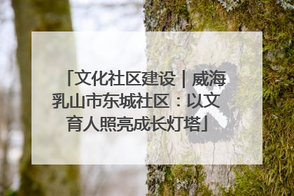 文化社区建设｜威海乳山市东城社区：以文育人照亮成长灯塔