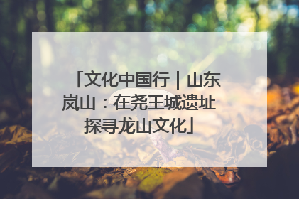 文化中国行｜山东岚山：在尧王城遗址探寻龙山文化