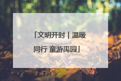 文明开封｜温暖同行 童游禹园