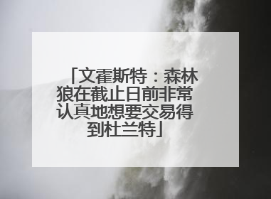 文霍斯特：森林狼在截止日前非常认真地想要交易得到杜兰特