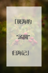 斑海豹“汤圆”归海记
