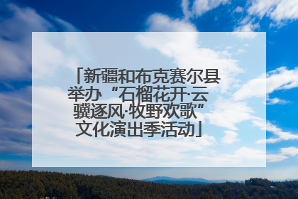 新疆和布克赛尔县举办“石榴花开·云骥逐风·牧野欢歌”文化演出季活动