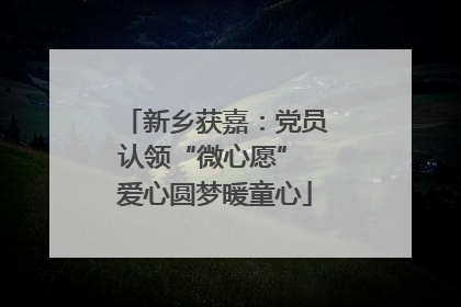新乡获嘉：党员认领“微心愿” 爱心圆梦暖童心