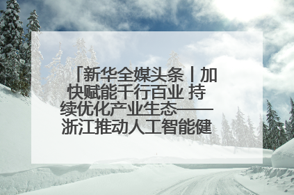 新华全媒头条丨加快赋能千行百业 持续优化产业生态——浙江推动人工智能健康有序发展观察
