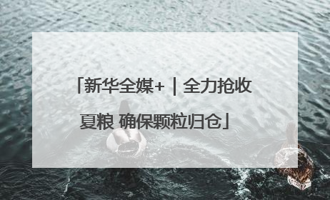 新华全媒+｜全力抢收夏粮 确保颗粒归仓
