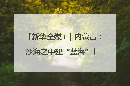 新华全媒+｜内蒙古：沙海之中建“蓝海”