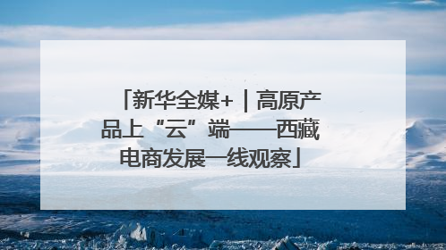 新华全媒+｜高原产品上“云”端——西藏电商发展一线观察