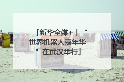 新华全媒+丨“世界机器人嘉年华”在武汉举行