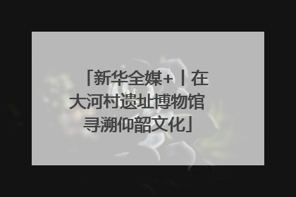 新华全媒+丨在大河村遗址博物馆寻溯仰韶文化