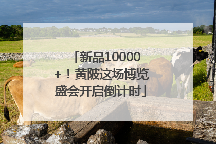 新品10000+！黄陂这场博览盛会开启倒计时