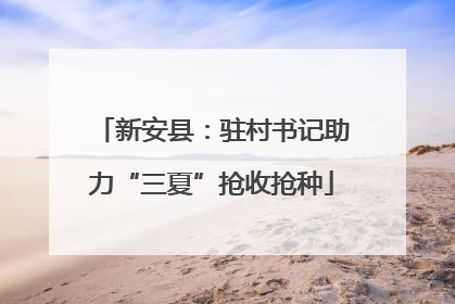 新安县：驻村书记助力“三夏”抢收抢种