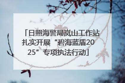 日照海警局岚山工作站扎实开展“碧海蓝盾2025”专项执法行动