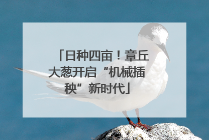 日种四亩！章丘大葱开启“机械插秧”新时代