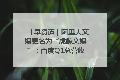 早资道｜阿里大文娱更名为“虎鲸文娱”；百度Q1总营收325亿元超预期