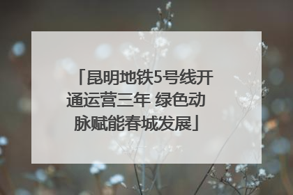 昆明地铁5号线开通运营三年 绿色动脉赋能春城发展