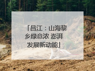 昌江：山海黎乡绿意浓 澎湃发展新动能