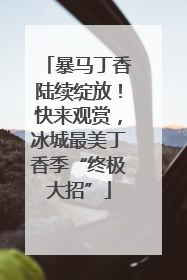暴马丁香陆续绽放！快来观赏，冰城最美丁香季“终极大招”