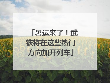 暑运来了！武铁将在这些热门方向加开列车