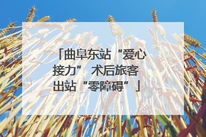 曲阜东站“爱心接力” 术后旅客出站“零障碍”