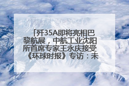 歼35A即将亮相巴黎航展，中航工业沈阳所首席专家王永庆接受《环球时报》专访：未来数量可以有很多