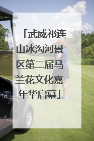 武威祁连山冰沟河景区第二届马兰花文化嘉年华启幕